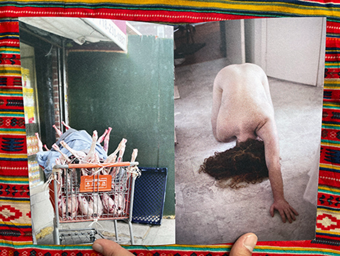 Como Agua Para Ajolote thumbnail 2