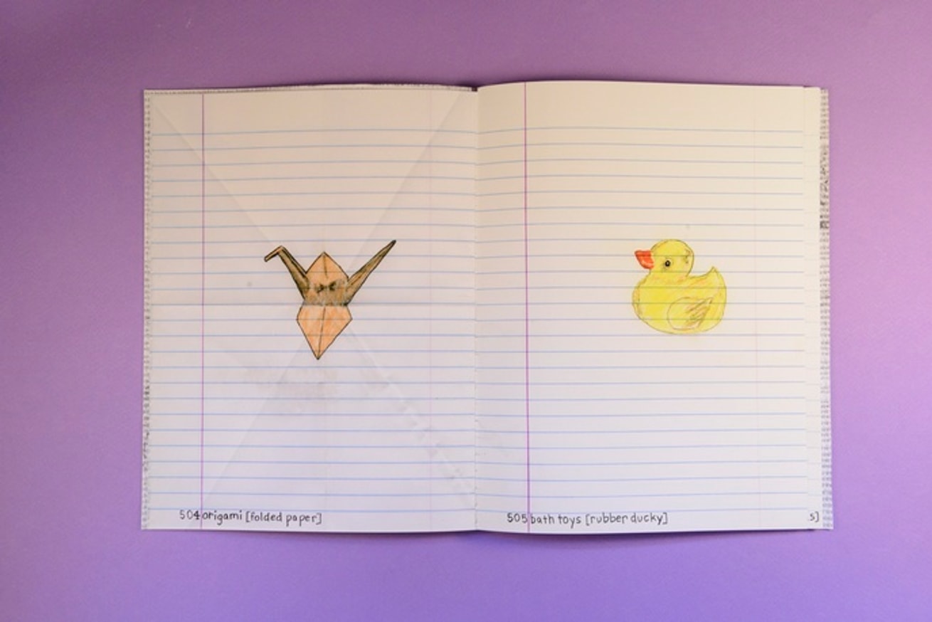 Birds of America 2010 Supplement / Redacted : Double Reared Edition thumbnail 5