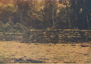 Muro Guayabo