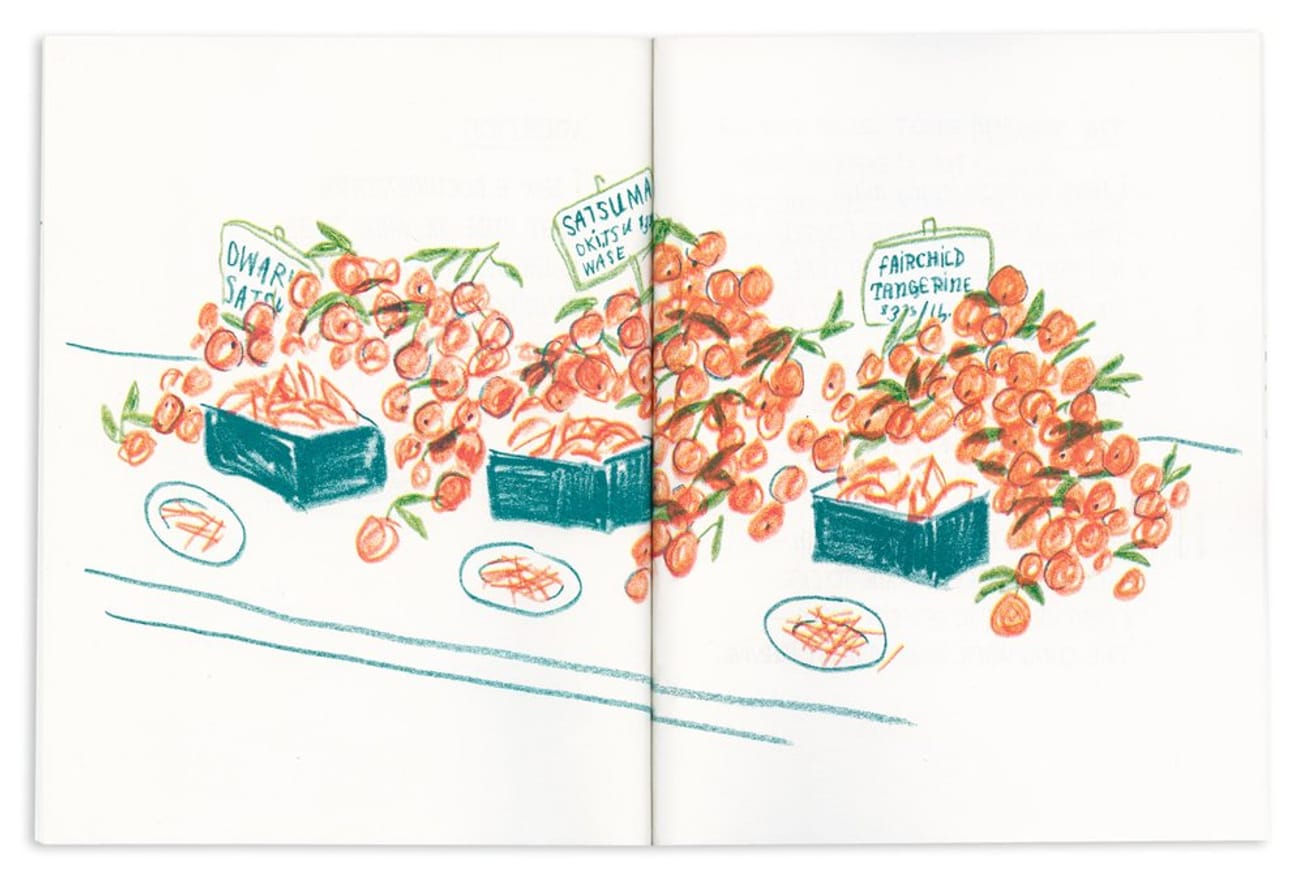 Sugarlady thumbnail 3