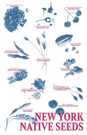 New York Native Seeds