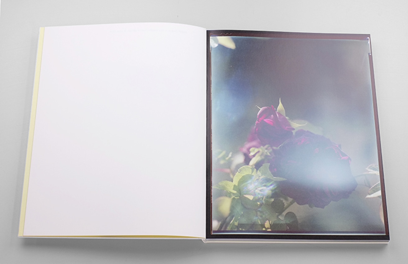 You Breathe from a Garden in Your Neck thumbnail 2