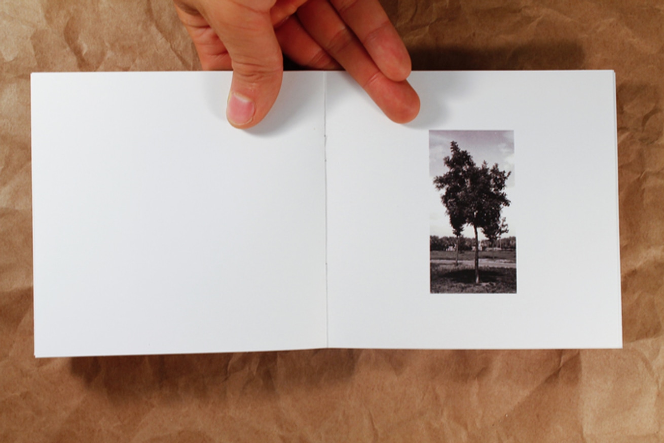 Common Place                                                                                                                                                                                                                                                    thumbnail 2