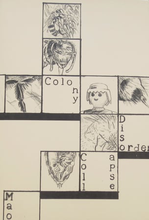 Colony Collapse Disorder