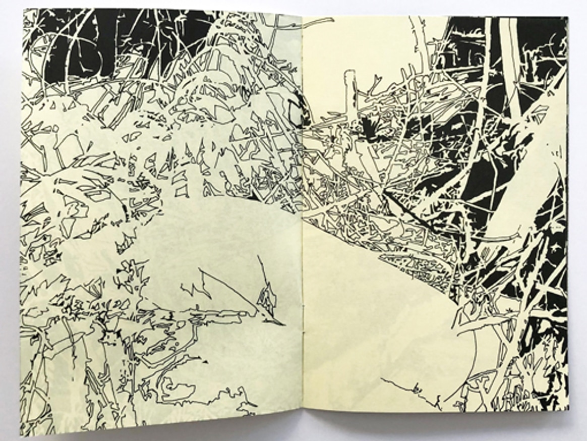 Vague Terrains / Urban Fuckups thumbnail 4