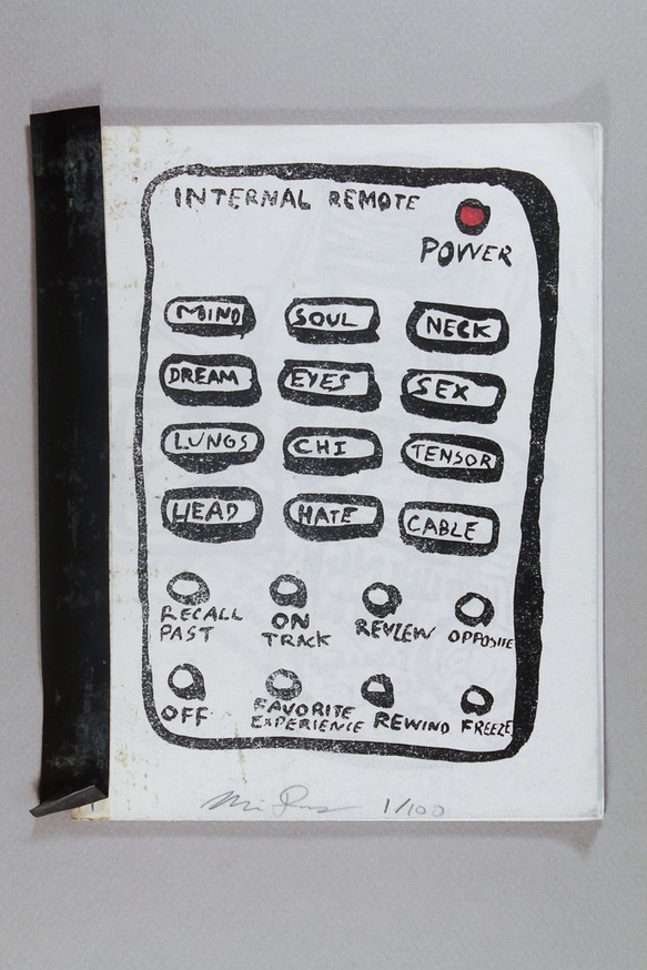 Internal Remote thumbnail 3