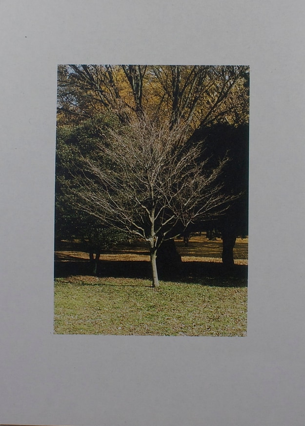 Field Note thumbnail 2