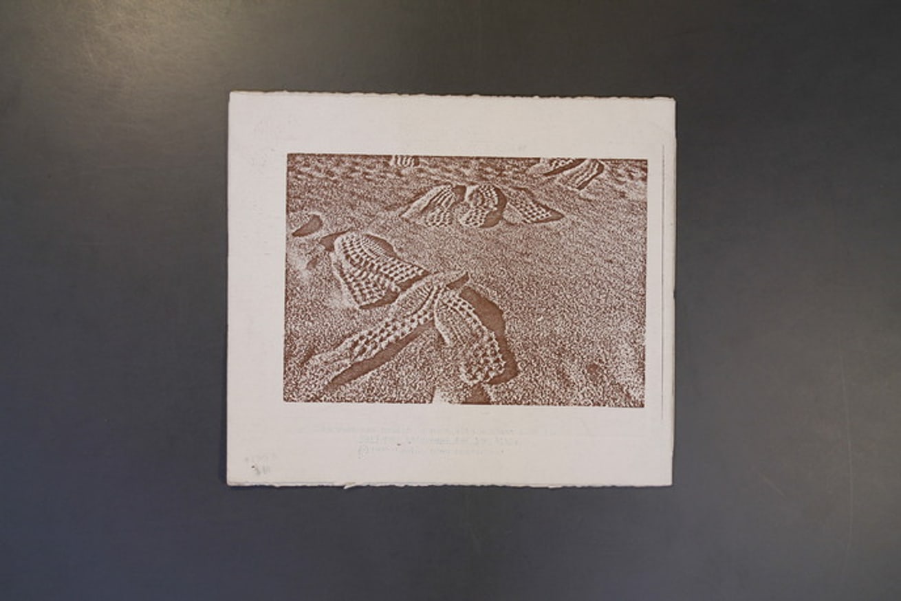 Where is Home? Basic Elements : Earth, Air, Fire, Water