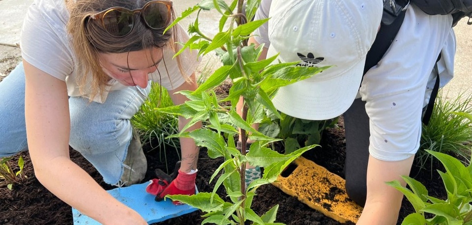 Women leaning over a plant, gardening 