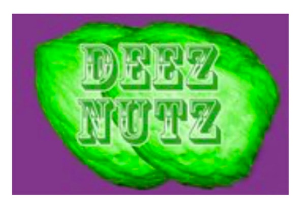 DEEZ NUTZ COMEDY SHOW