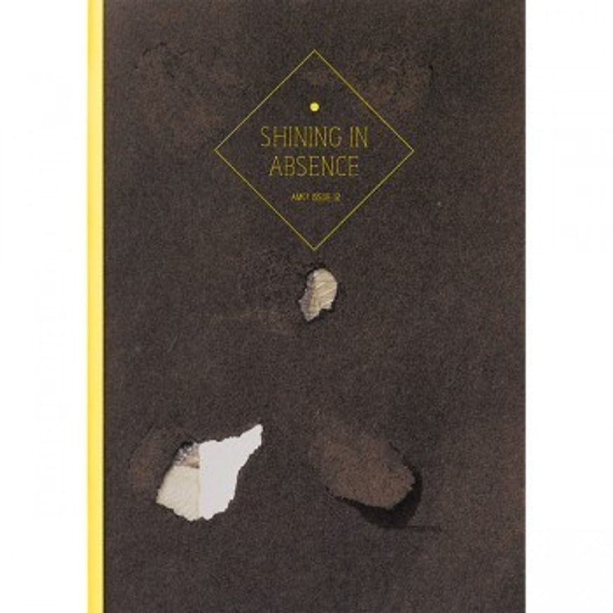 AMc2 Journal thumbnail 5