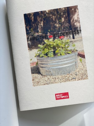 Tame the Wilderness?