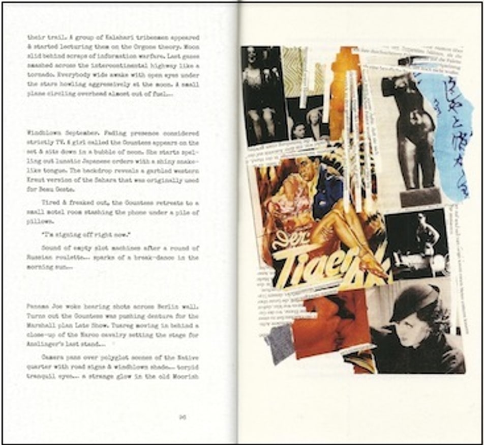 Flesh Film thumbnail 3