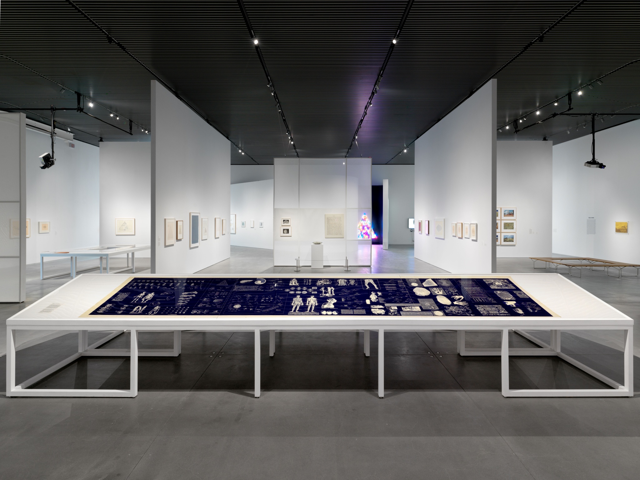 An installation view of Agnes Denes' work for Absolutes and Intermediates