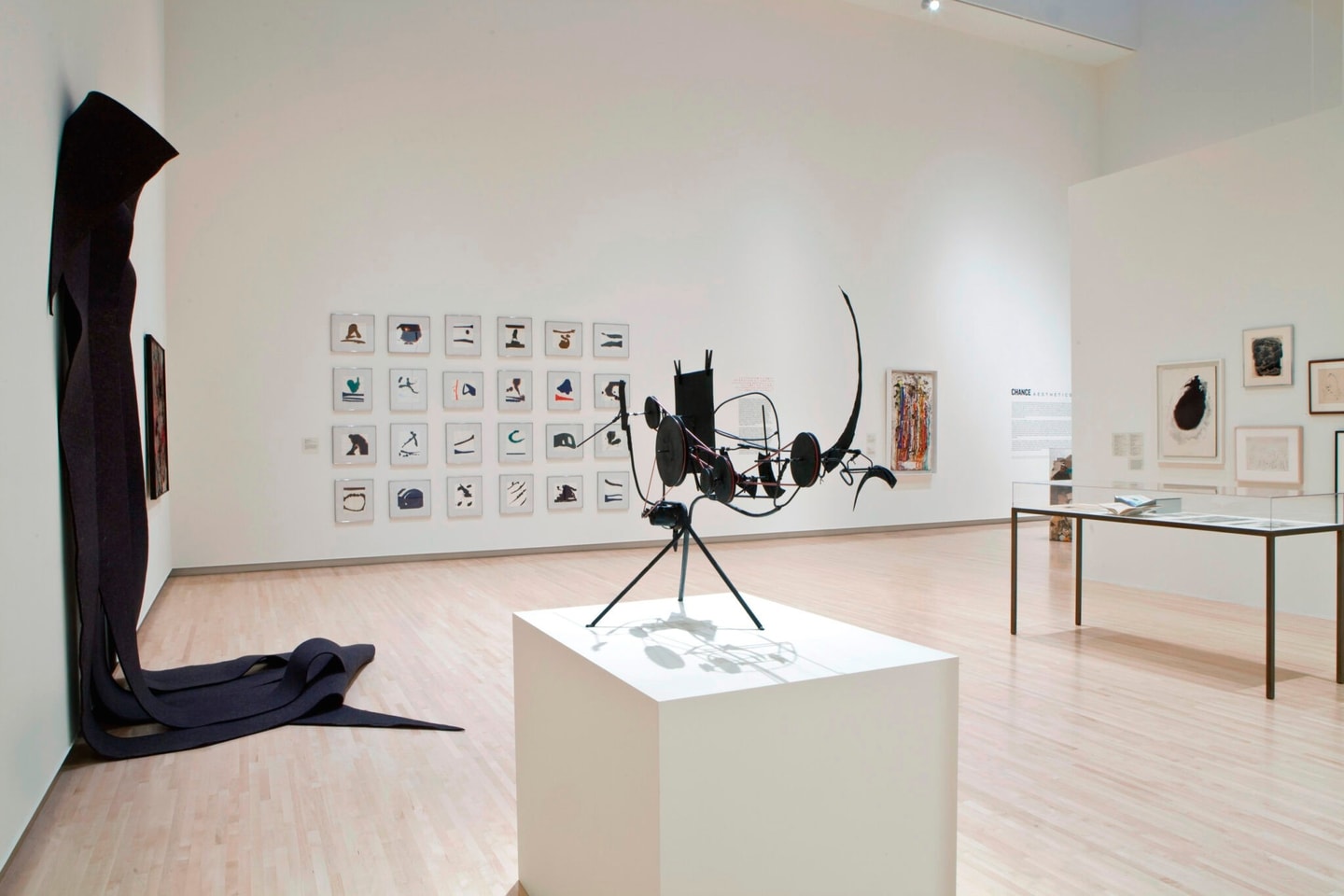 Installation view, “Chance Aesthetics”