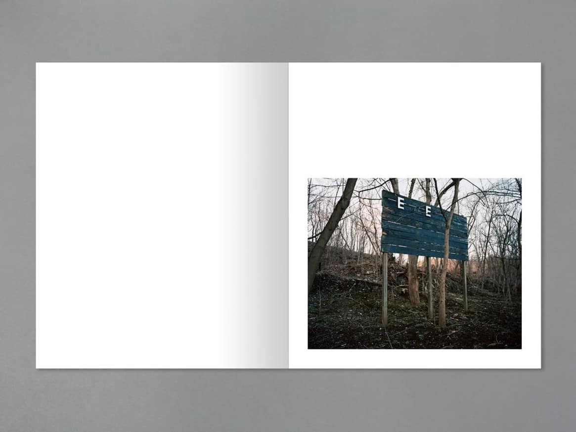 Laurel Mountain Laurel thumbnail 5