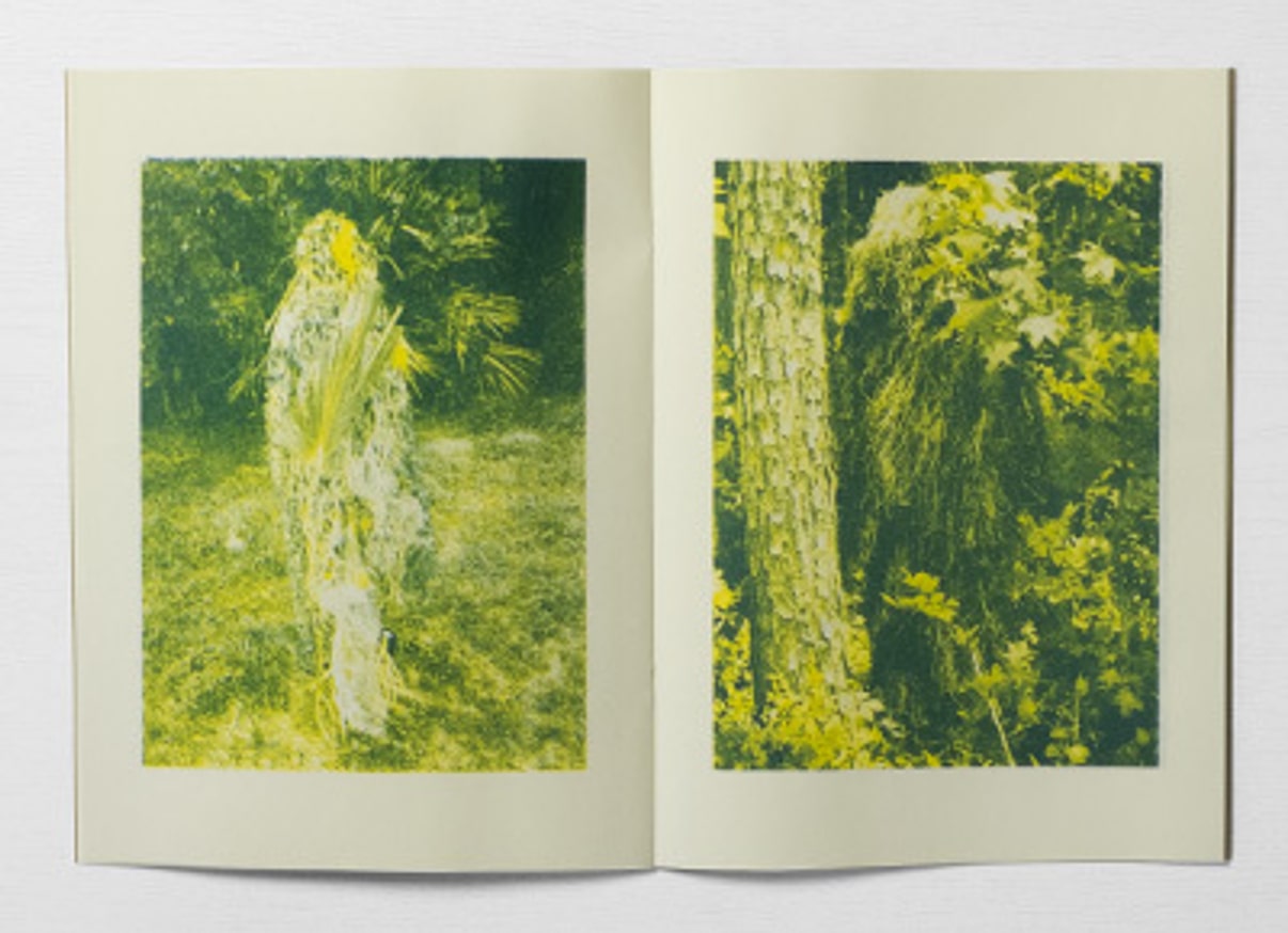 20 Walking Bushes thumbnail 4