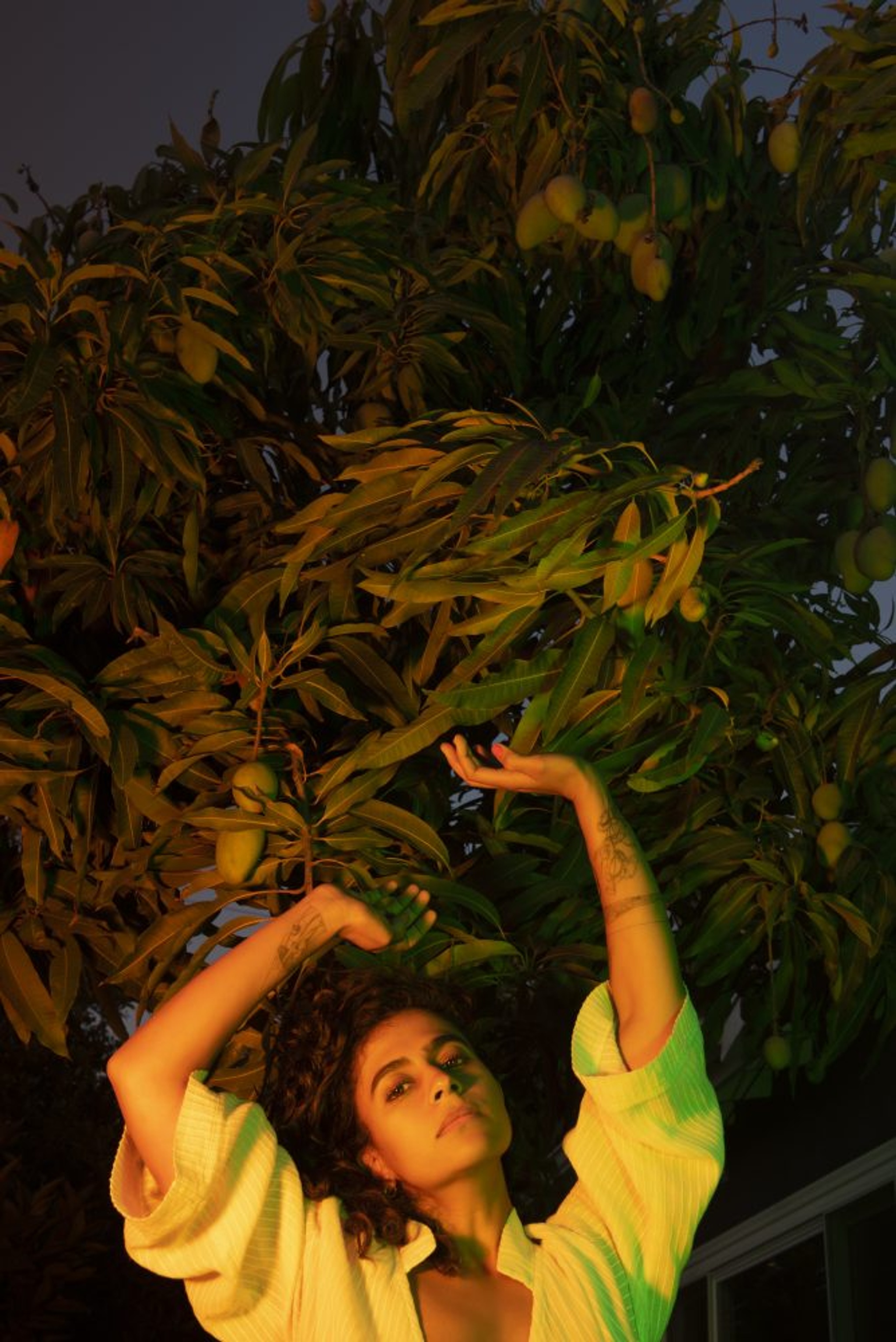 An Indian American woman seen slightly from below looking at us raises her hands above her head toward the green leaves of a fruit bearing tree. It is night and she is lit with a soft yellow glow. She has long wavy brown hair and wears a white voluminous shirt whose arms fall down to her elbows as she lifts her hands. 