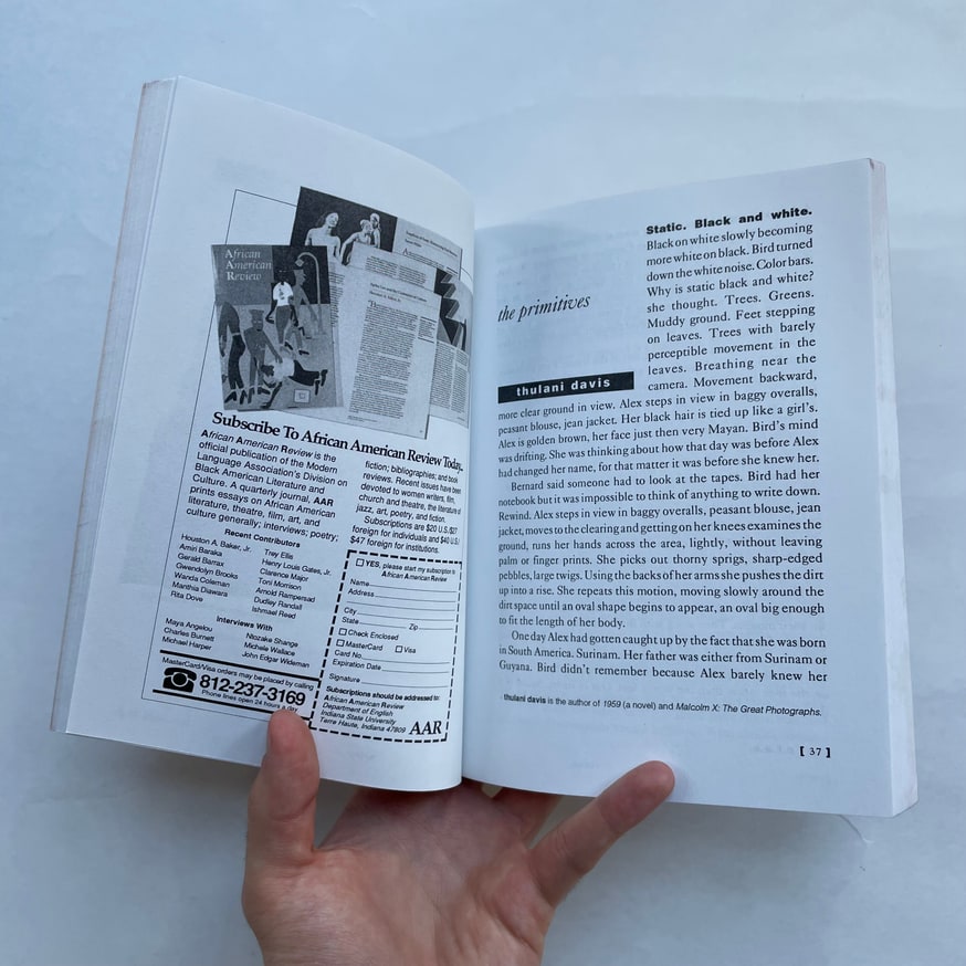 The Portable Lower East Side: New Africa thumbnail 5