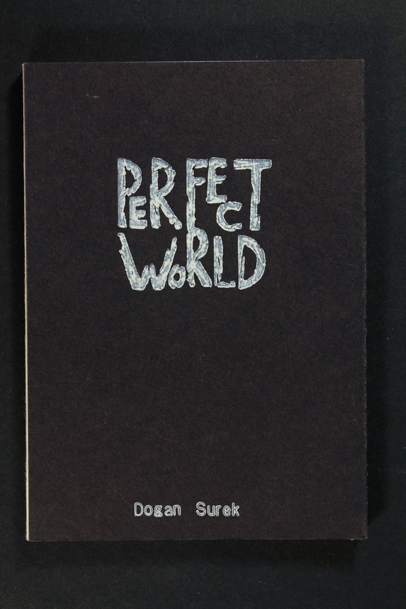 Perfect World                                                                                                                                                                                                                                                   thumbnail 1