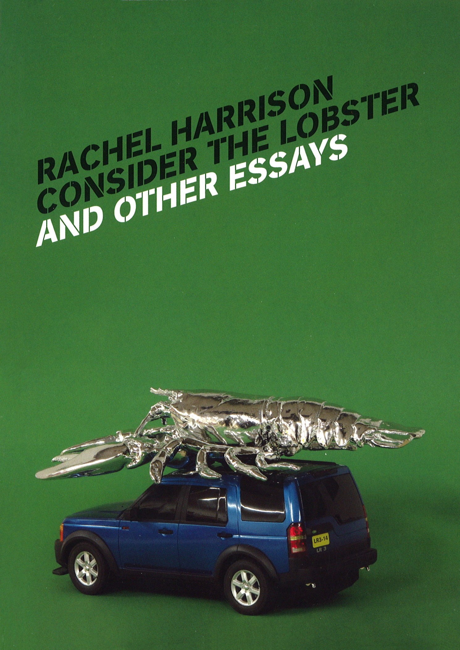 Rachel harrison consider the lobster and other essays picture