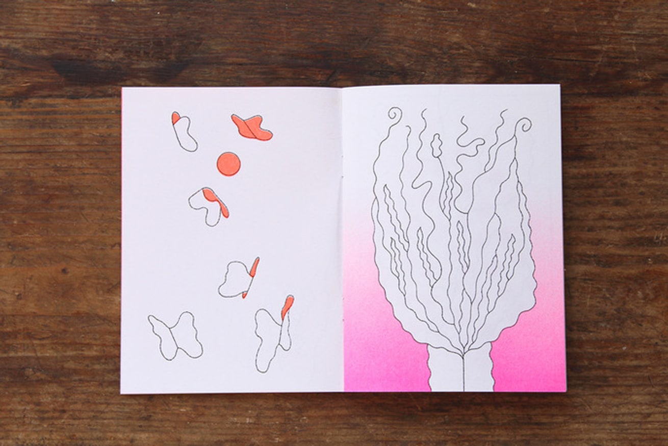 Papillon Blanc thumbnail 5