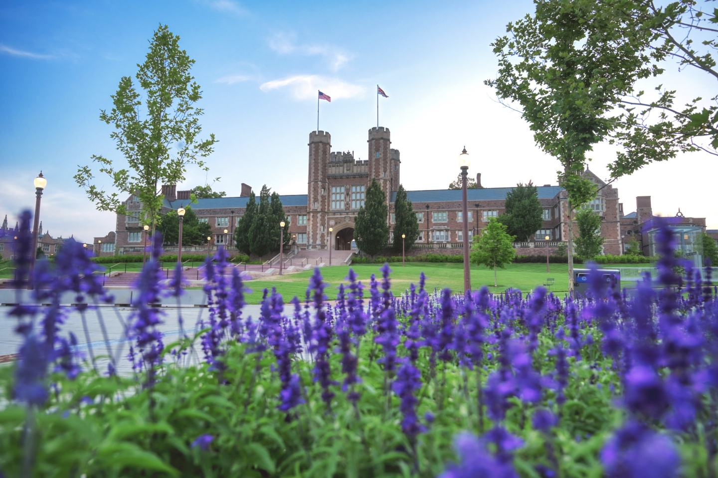 Collegiate Gothic-style building, Brookings Hall, in the background,with purple flowers with green foliage and a couple of trees in the foreground.
