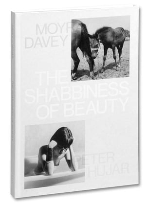 The Shabbiness of Beauty