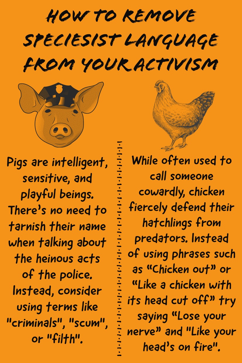 Poster with orange background with heading "How to Remove Speciest Language from Your Activism" with notes about using "pig" and a"chicken" as insults.
