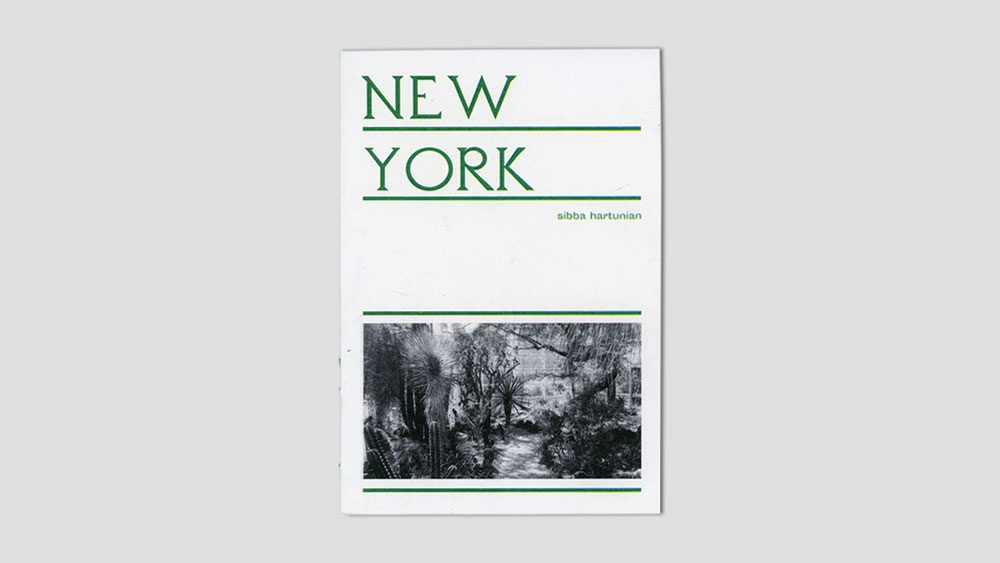 New York thumbnail 1