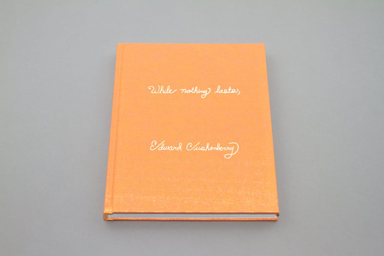 While nothing lasts, [Hardback] thumbnail 2