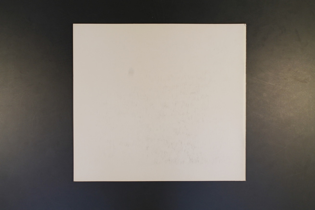 The Real Great Society Album thumbnail 5