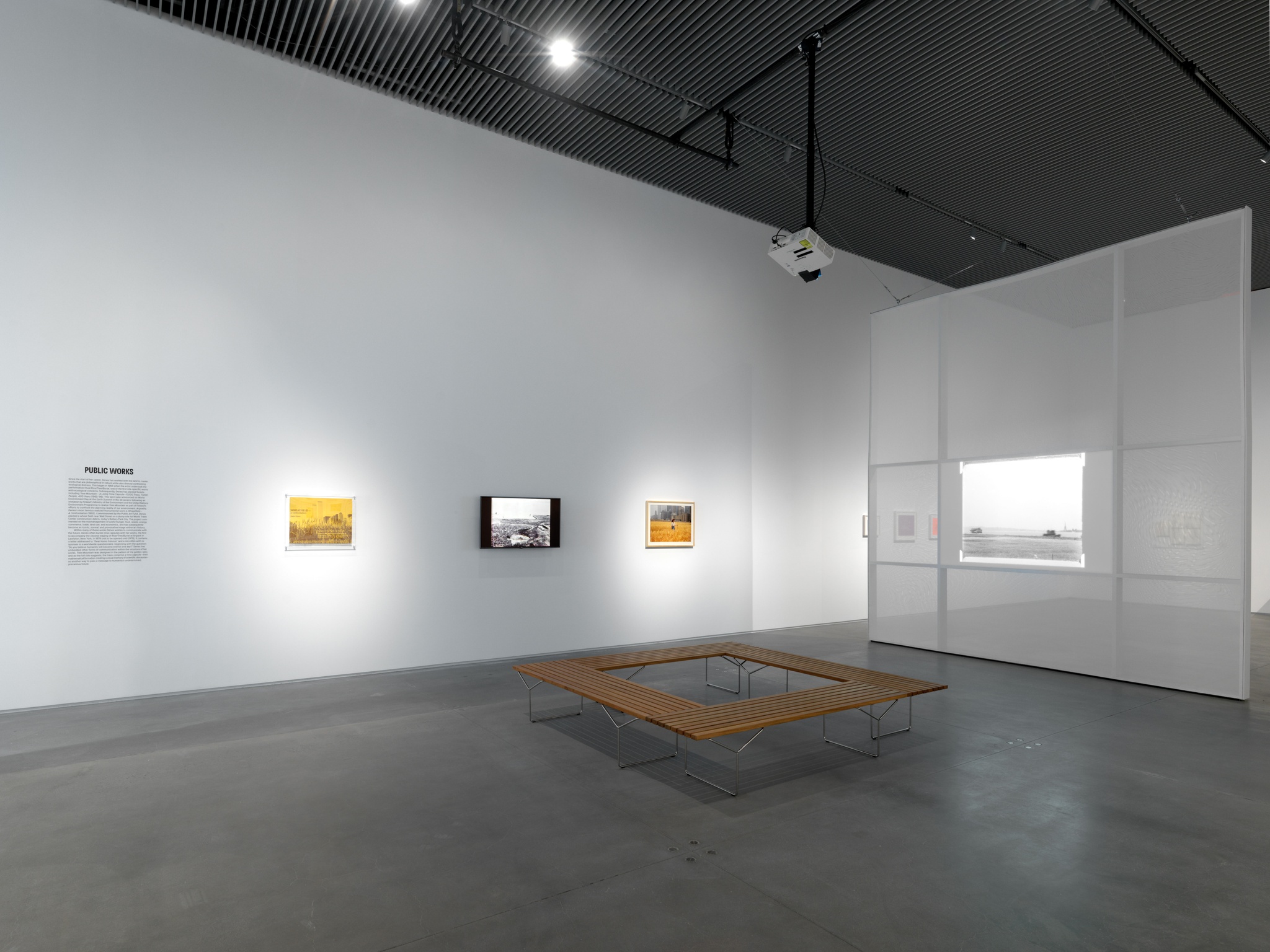 An installation view of Agnes Denes' work for Absolutes and Intermediates