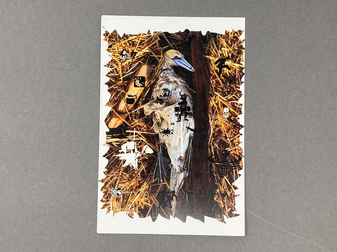 Dead Bird Postcard