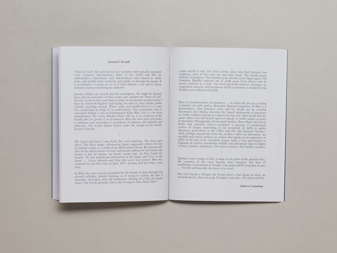 Responses to Derek Jarman's Blue (1993) thumbnail 4