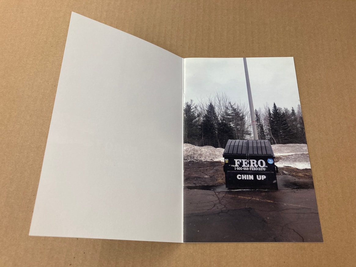 Year of the Dumpster thumbnail 2