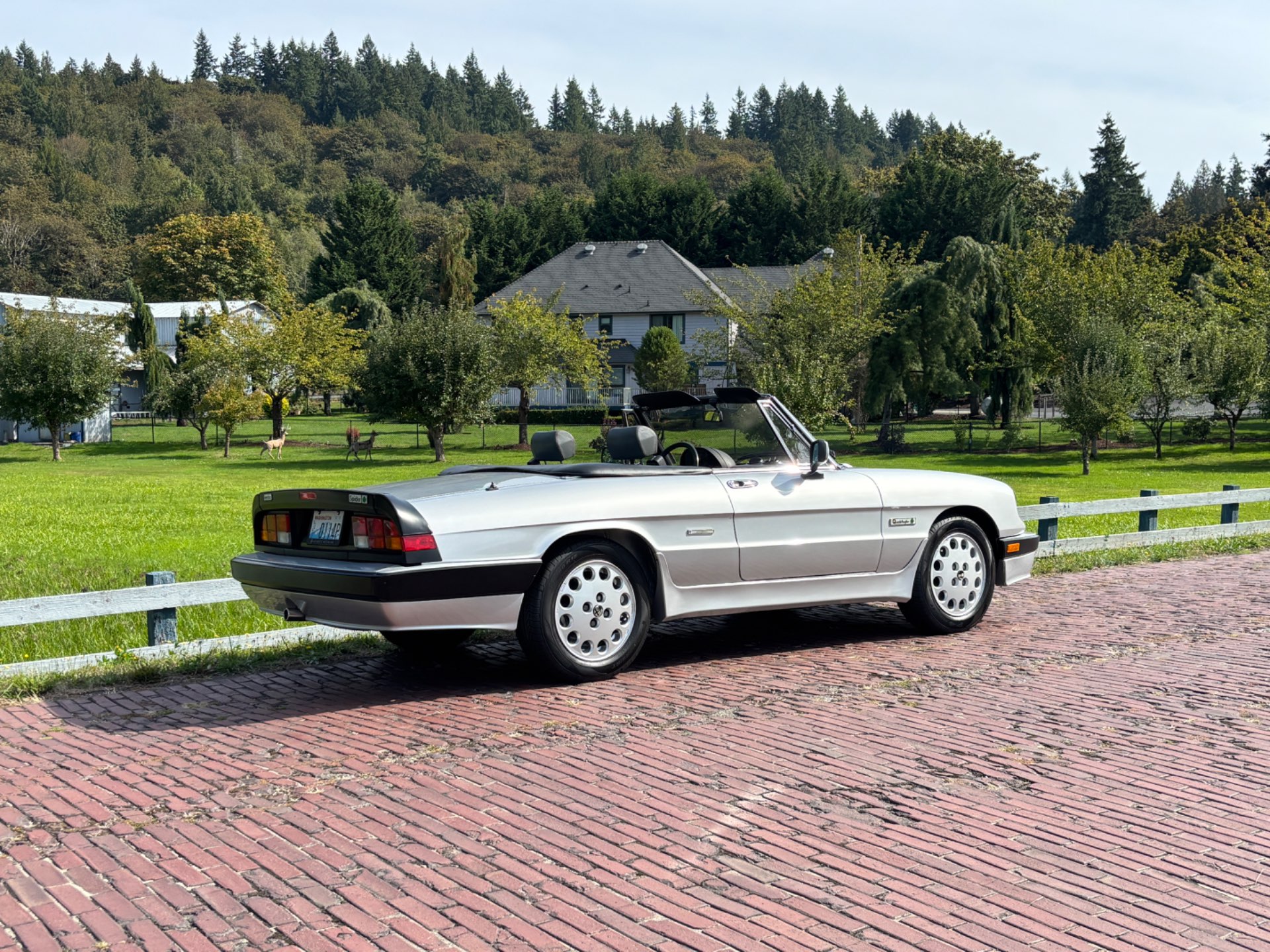 1990 Alfa Romeo Spider - Photo 16