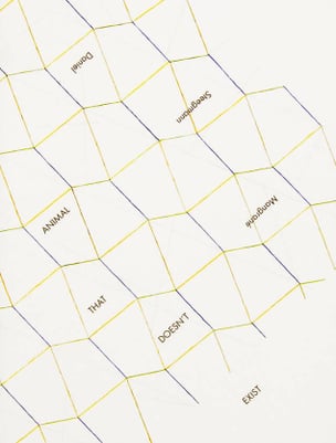 Daniel Steegmann Magrané : Animal That Doesn't Exist