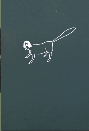 Solo Aparecen de Noche