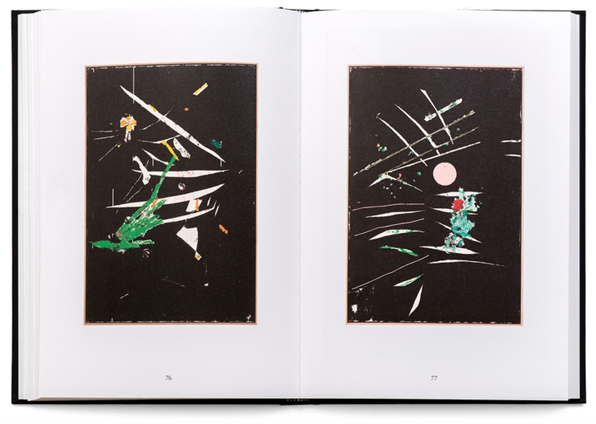 Harold Ancart: Soft Places (I) thumbnail 5