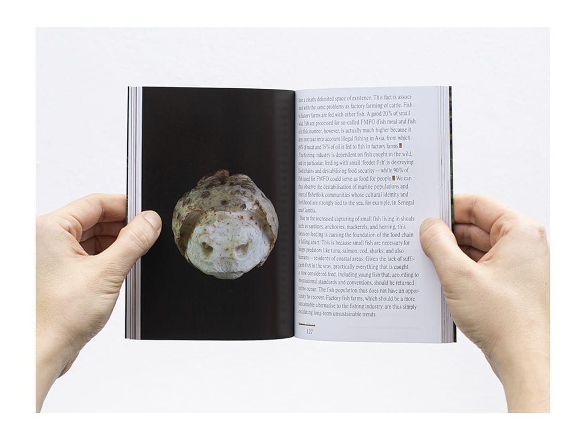 Animal Touch thumbnail 2