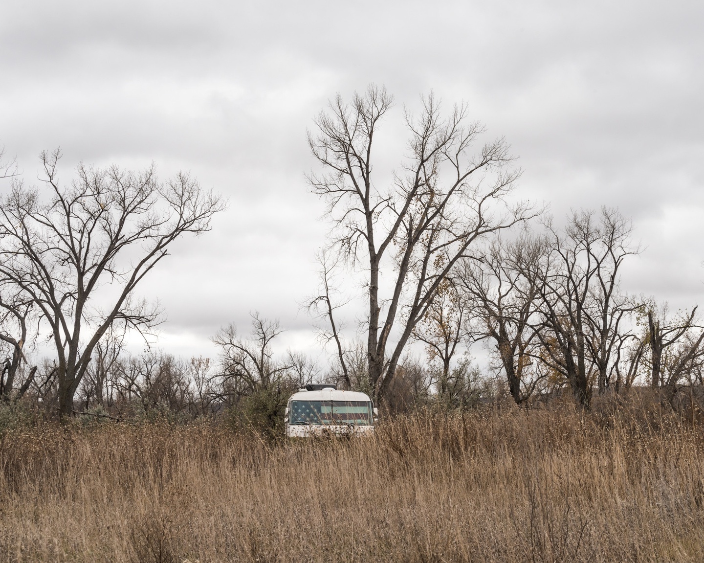 A van partially obscured by the tall weeds/grass in the foreground; beyond it, bare trees against an overcast sky.