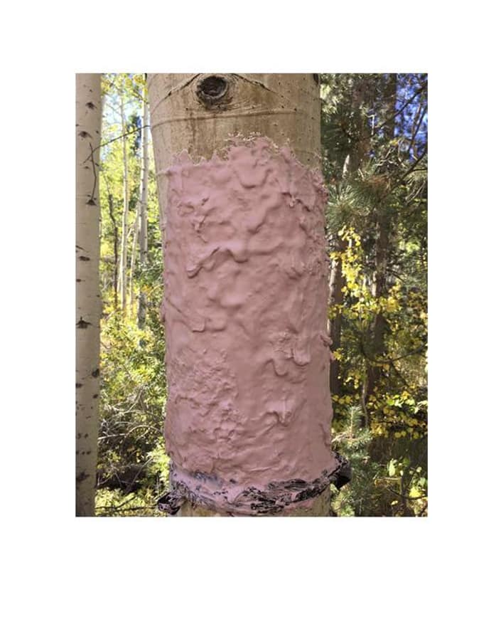 In Many Valleys, the Sun Was the Eye of God thumbnail 2