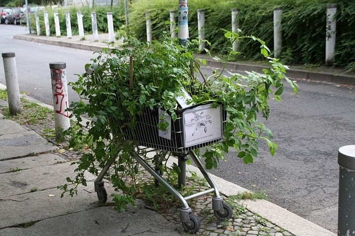 Shopping cart parked on a sidewalk overflowing with potted vegetable plants.