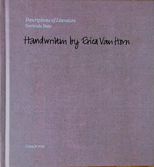 Descriptions of Literature by Gertrude Stein handwritten by Erica Van Horn