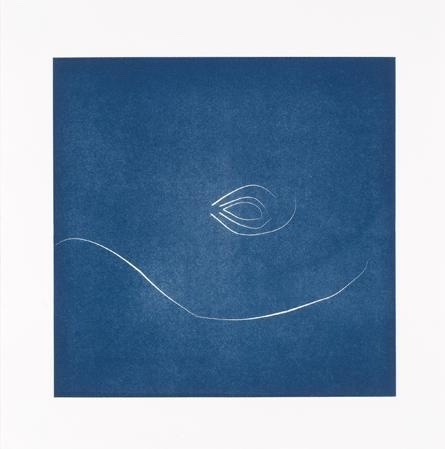 Image of abstract white line drawing on dark blue printed background 