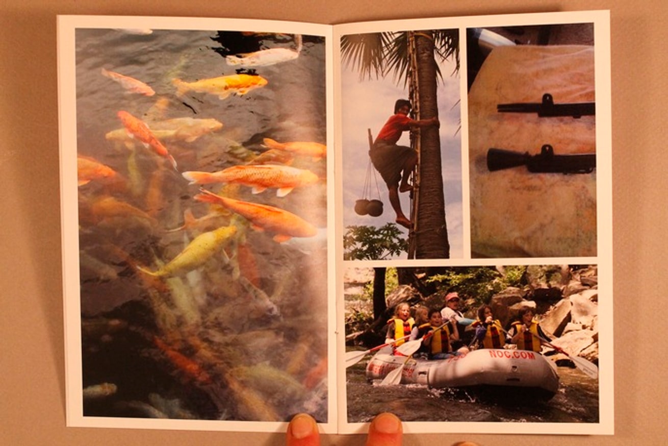 Lynn Valley 8 : Derek Sullivan thumbnail 3