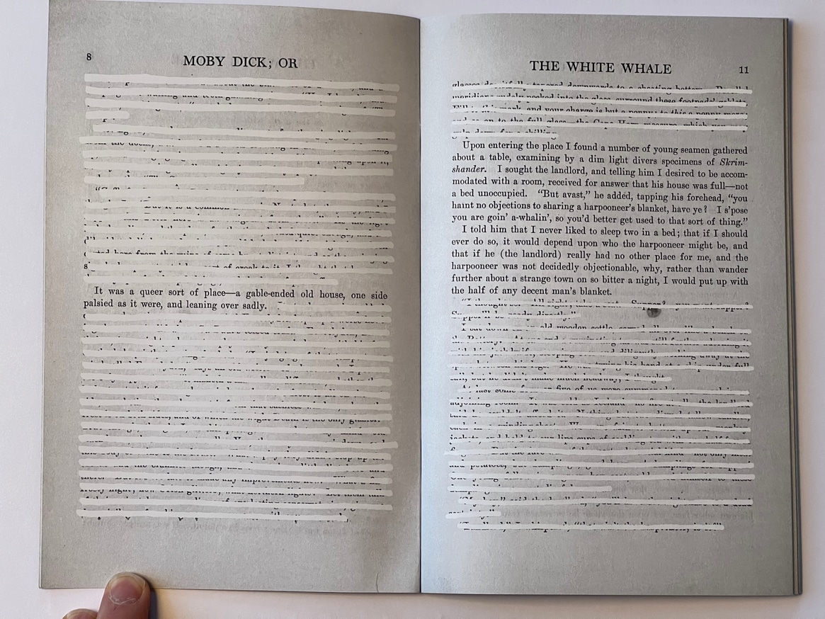 Moby Dick* *redacted to queer thumbnail 2