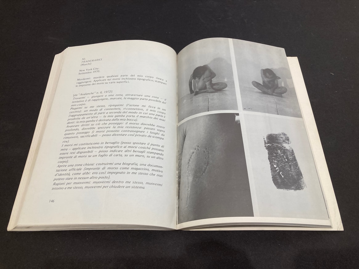 Vito Acconci thumbnail 5