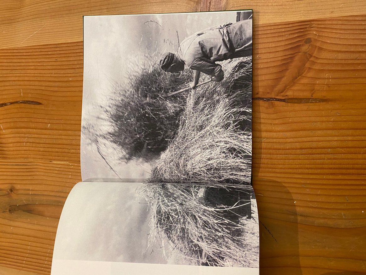 Into the Light Cellar